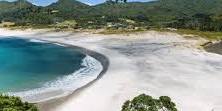 Great Barrier Island's 'Spectacular by Nature' Garden Tour