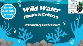 Wild Water Plants & Critters: A Touch & Feel Event