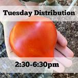 CSA Distribution Day — Poughkeepsie Farm Project