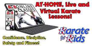 Free At Home Online Karate with Live, Professional Instructor!