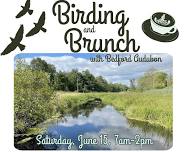 Birding and Brunch