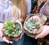 Cacti & Succulent Terrarium Workshop @ Heroes Bar & Grill