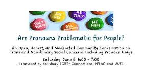 Are Pronouns Problematic for People, moderated by Mark DeLancy of PFLAG