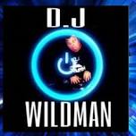 DJ Wildman: Private Wedding