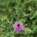 Spring Nature Walk at River Woods Park