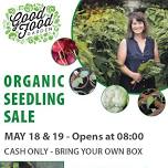 Organic Seedling Sale