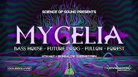 Mycelia - Queenstown Edition