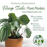 Foliage Studio at the Artisan Craft Market - Lower Hutt