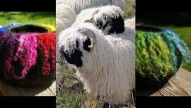 Felting workshop on the farm: 