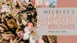 Meckley’s Bubbles & Brushes