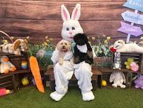 Pet Photos with the Easter Bunny & Doggie Egg Hunt