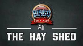 Bingo for a Cause - Lewis & Clark ABATE