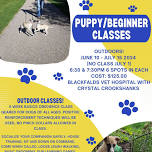 Puppy Classes