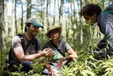 Walk on the Wild Side: Ecosystem Discovery Walk with Hudsonia