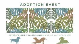 Adoption Day with Anthropologie