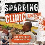 Karate Sparring Clinic