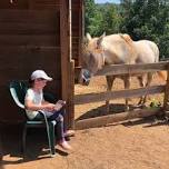 Books at the Barn