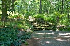 Healing with Nature: Forest Bathing - Boylston, MA  — New England Nature and Forest Therapy Consulting