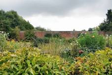 NGS Open Garden