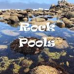 MakeIt! Rock Pools - big window takeover!