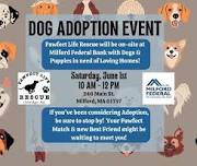 Dog Adoption Event!!