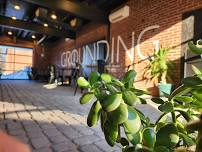 Music in the Courtyard