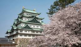 Nagoya Castle Cherry Blossom Festival