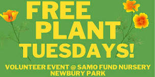 FREE PLANT TUESDAYS! - Native Plant Nursery Volunteering