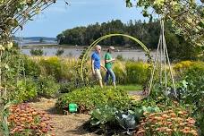 Walking Group @ Milbridge Commons Wellness Park Begins