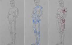 The Basic Body: Fundamentals of Drawing Anatomy Workshop