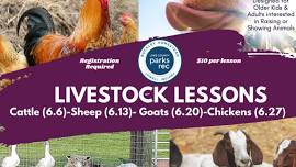 Livestock Lessons