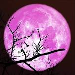 Full Pink Moon Sound Bath