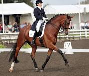 Nikki Crisp Dressage Clinic