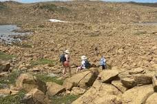 Half Day Hike Blow Me Down Mountain: Explore Beauty and Tranquility of Pristine Newfoundland