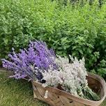 Lavender Pick-a-Posy – **Exact dates to be set when the harvest is ready**