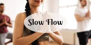 Slow Flow