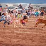 Teton Valley Rodeo