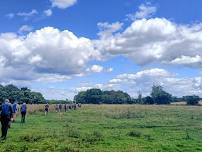 Saturday 8 June: ACLE 12.5 miles. Leader: Terry L