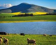 ⭐ Explore the Riebeek Valley and taste the best wines and produce