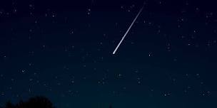 Meteors on the Meadow  Perseids,