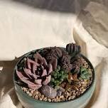 Succulent Arrangement Workshop