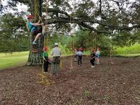 Intro to Tree Climbing