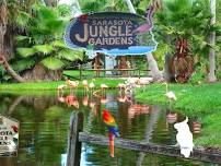 Explore Sarasota Jungle Gardens!