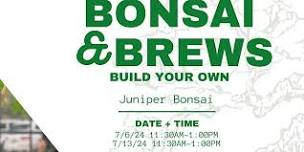 Bonsai and Brews - Ivanhoe Park Brewing - Juniper Bonsai - 7/13