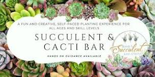 JULY Succulent & Cacti|Open Style Potting Bar @ ABC Brewing, Battle Lake