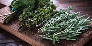 Cooking with Herbs