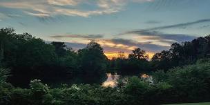 Twilight Hike