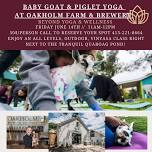 Baby Goat & PIGLET Yoga By the water at Oakholm Farm & Brewery!