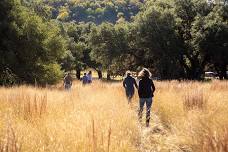 October 18th | Native Grass Workshop — Selah, Bamberger Ranch Preserve