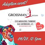 Dog Adoption Event at Grossman Nissan!